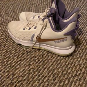 Nike lebron witness 5’s